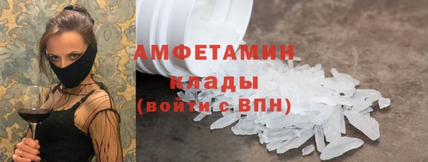 прущие грибы Горняк