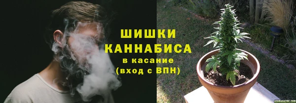ПСИЛОЦИБИНОВЫЕ ГРИБЫ Гусев