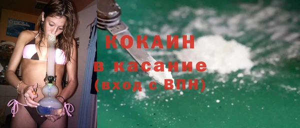 прущие грибы Горняк