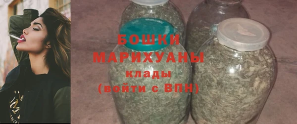 прущие грибы Горняк