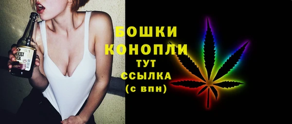 прущие грибы Горняк