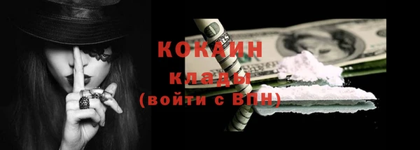 прущие грибы Горняк