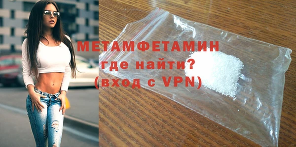 прущие грибы Горняк