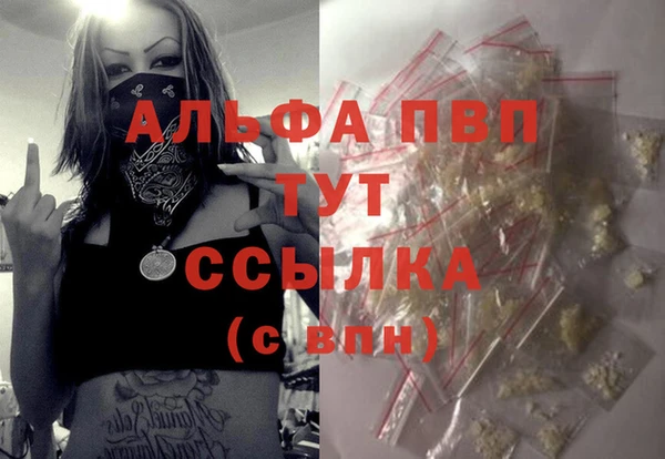 прущие грибы Горняк