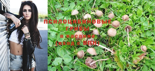 ПСИЛОЦИБИНОВЫЕ ГРИБЫ Гусев