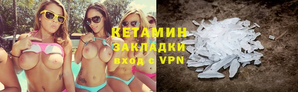 прущие грибы Горняк