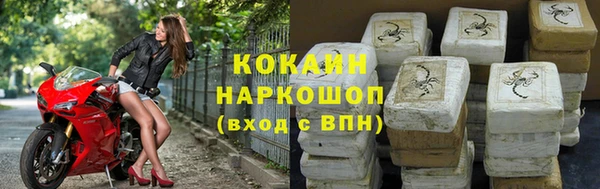 прущие грибы Горняк