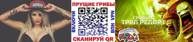 Купить  Татарск  Псилоцибиновые грибы Psilocybine cubensis 